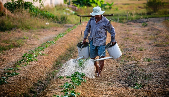 Promulgation de la loi EGalim 2 : de nouvelles avancées au profit de la rémunération des agriculteurs !