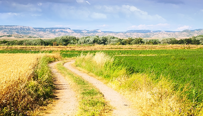 Projet de loi climat : cet amendement qui menace les chemins ruraux